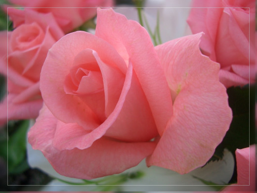 391970 (a): :1600x1200